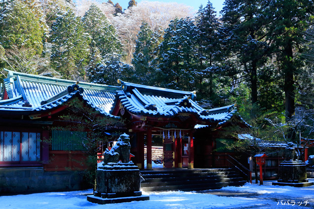 �����_��