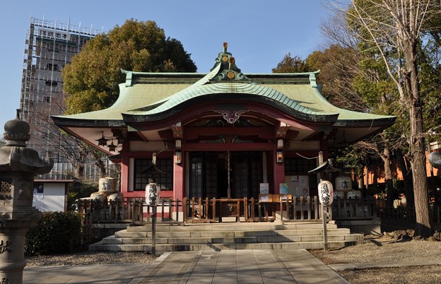 �s�J�T�������{