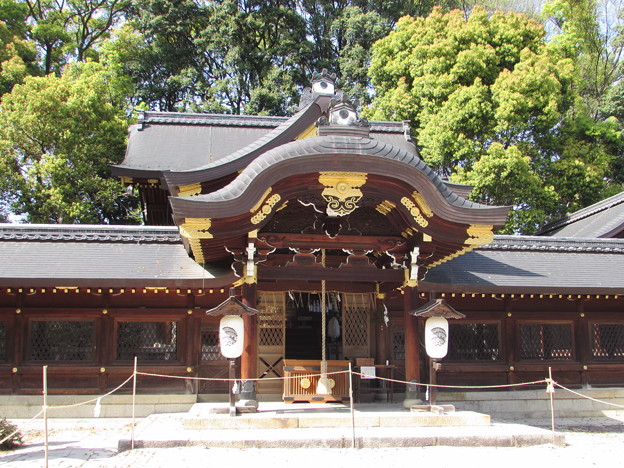 ���{�_��