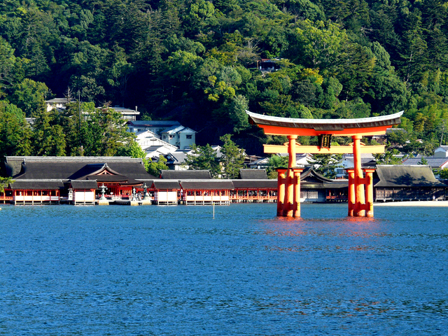 �����_��