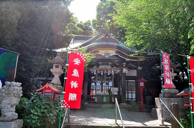 ��z�����{