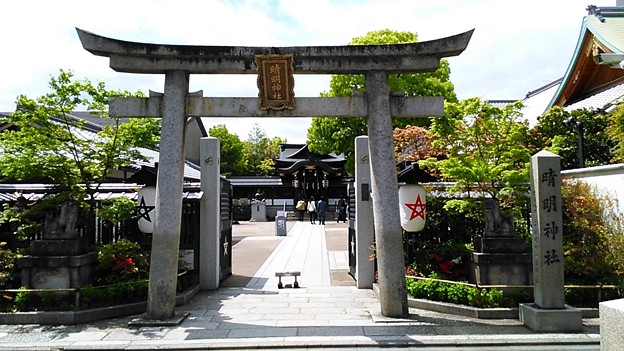 �����_��