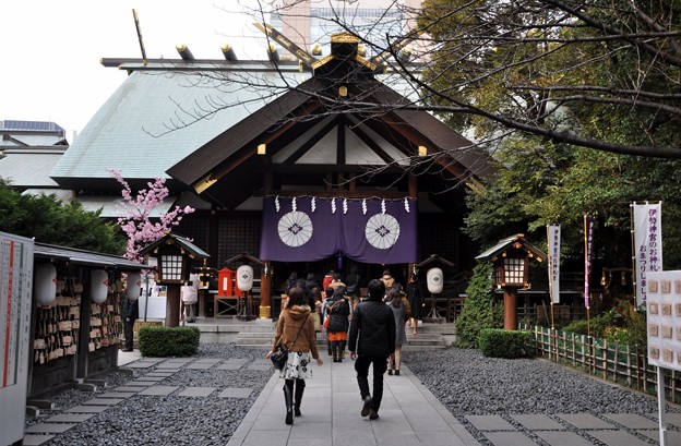 ������_�{